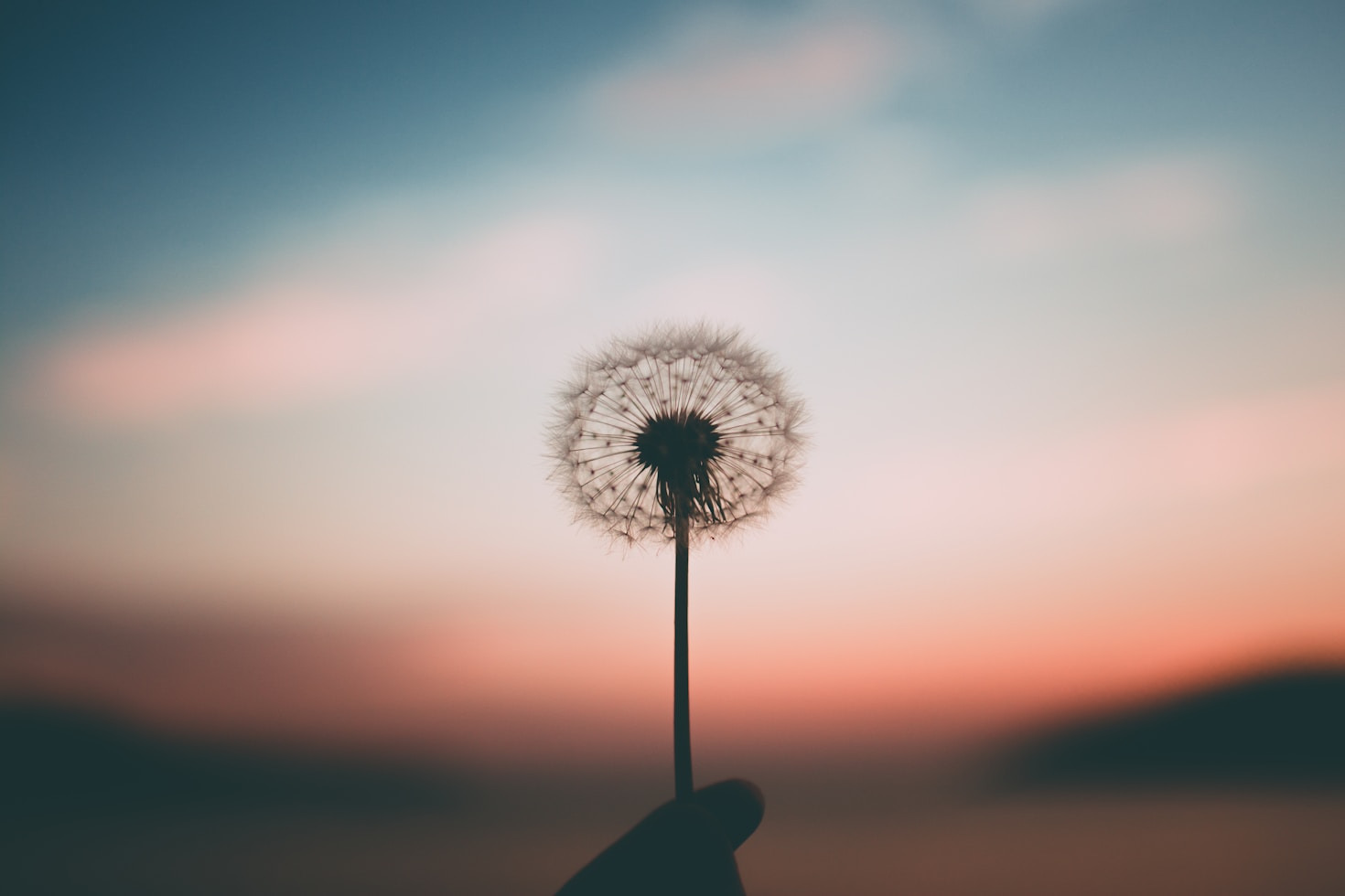 5 tecniche di coaching per raggiungere i tuoi obiettivi